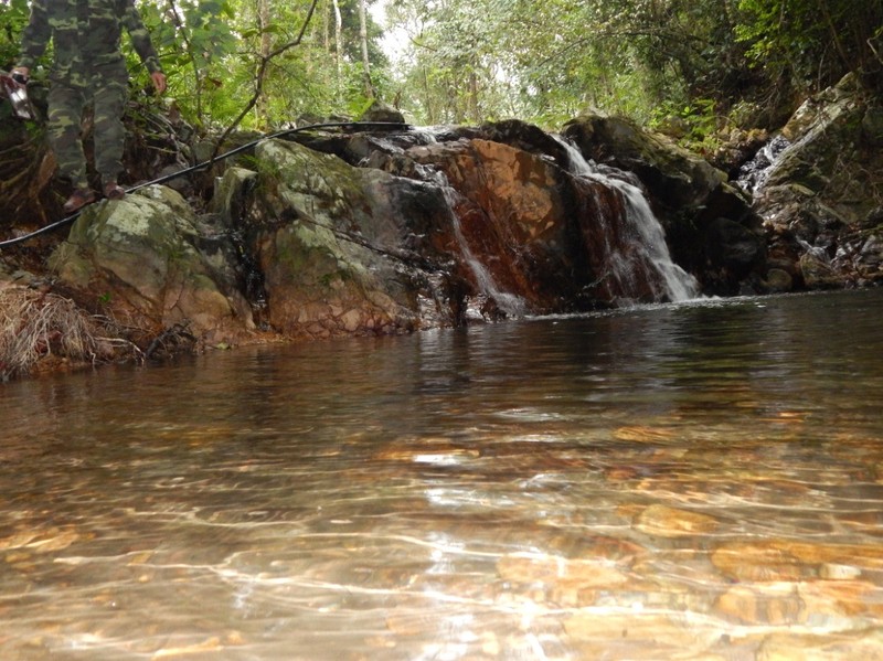 Lac vao tien canh vuon thuc vat tai Phong Nha Ke Bang-Hinh-6